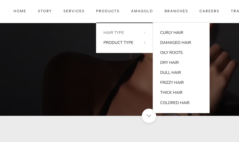 The main navigation menu with product categories.